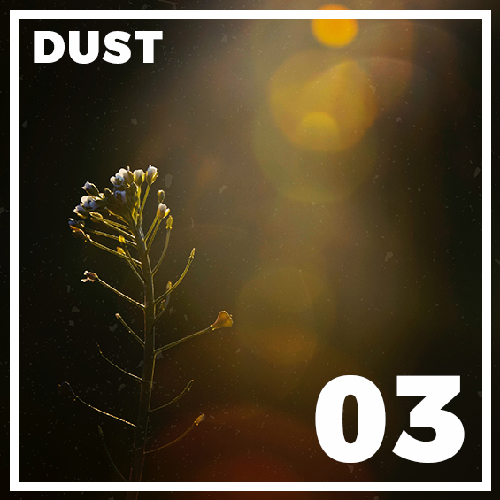03-dust-photoshop-overlays
